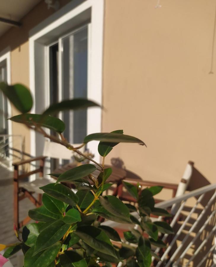 Apartmani Vico Herceg Novi Zewnętrze zdjęcie